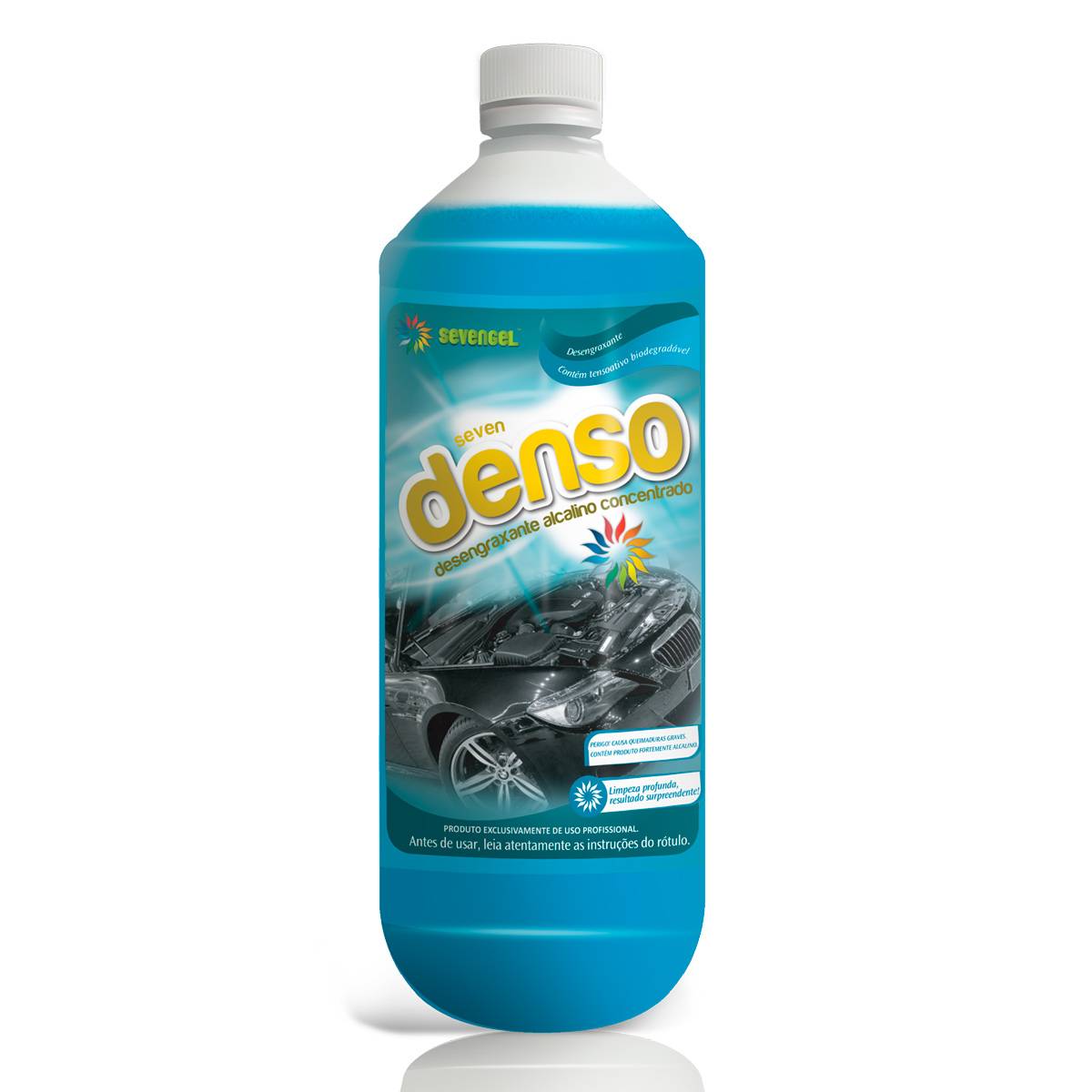 denso 1